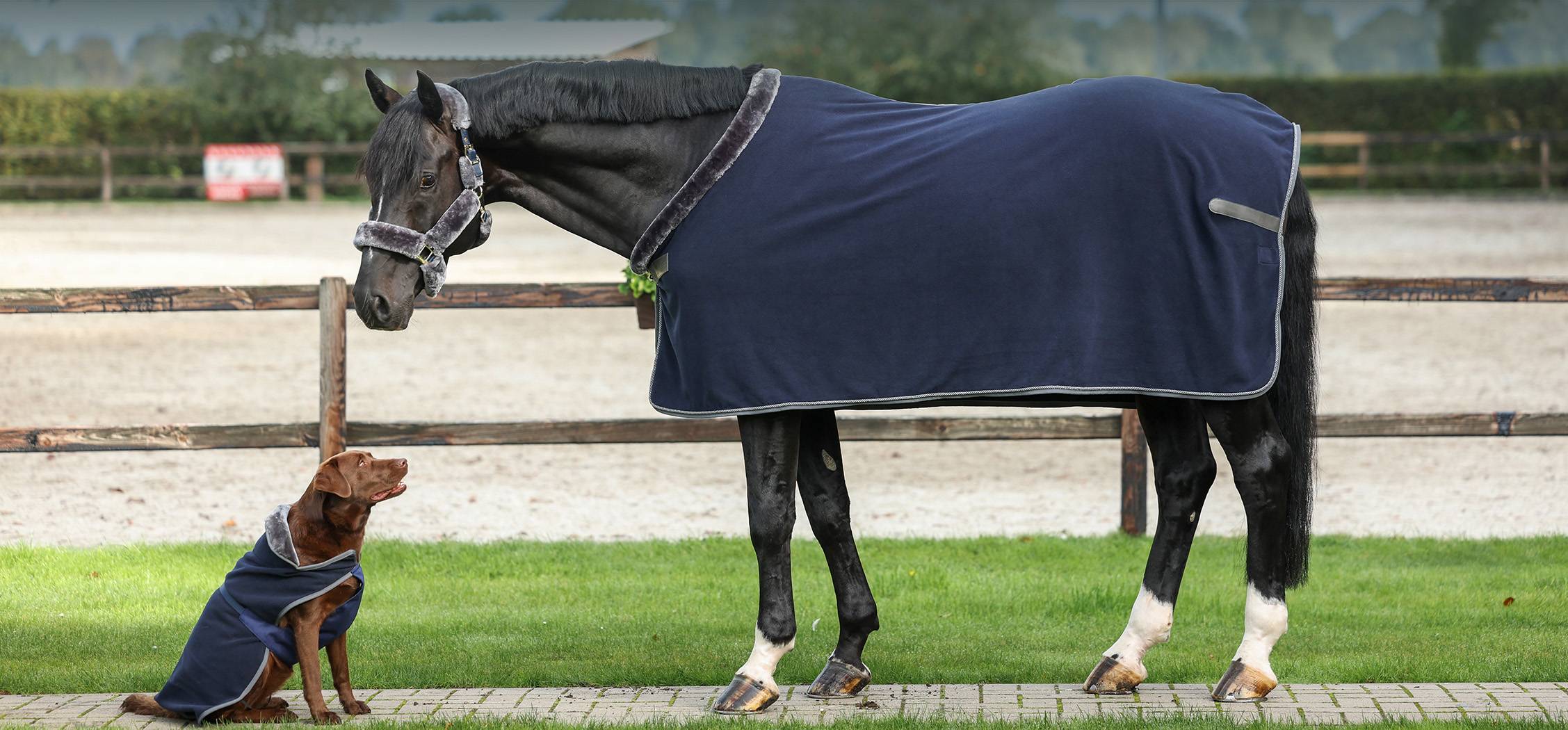 Bucas Couverture Polaire 400G Show-Line 140 Navy/Grey